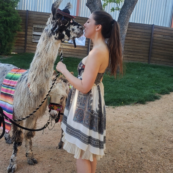 Free People Serenissima Bohemian Dress - Picture 6 of 10